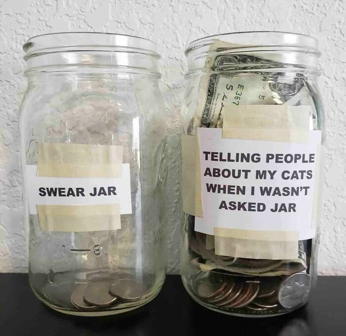 These Animal Memes Are So Grumpy, You’ll LOL For Days