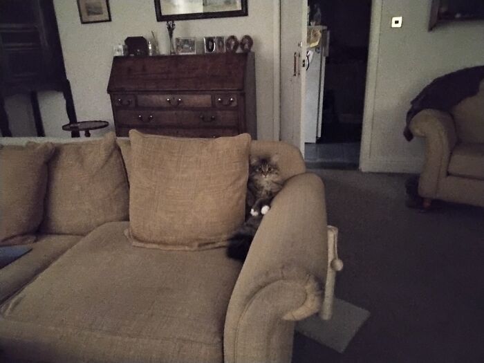 Sofa? More Like Her Throne