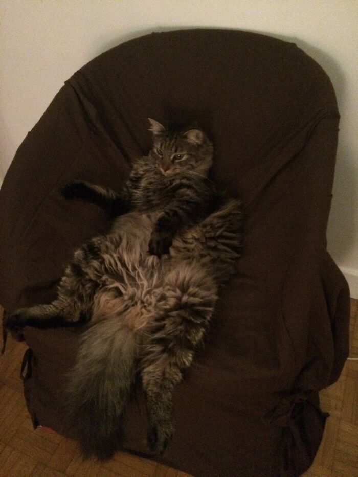 When Chair Stealing Is a Lifestyle