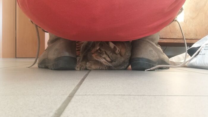 Under Mom? Perfect Spy Spot!