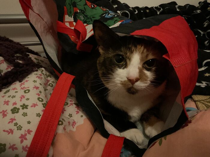 Shopping Bag Inspector
