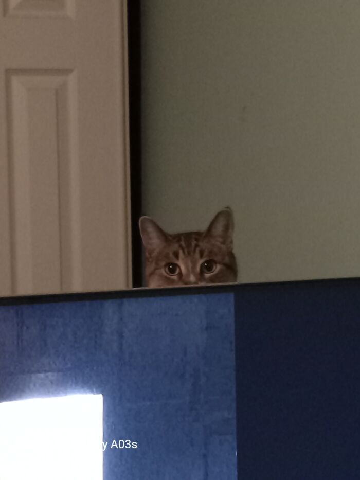 MS Atti’s Monitor Hideout