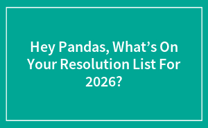 So, What’s Everyone Actually Planning for 2026?