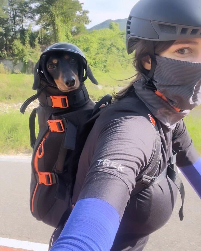 Wait, Dogs in Backpacks Are a Thing? Yep, And They’re Adorbs!