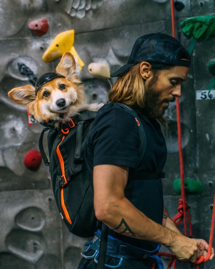 Wait, Dogs in Backpacks Are a Thing? Yep, And They’re Adorbs!