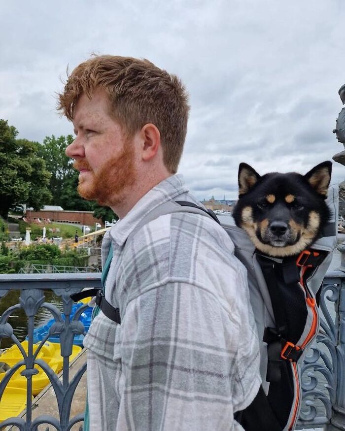Wait, Dogs in Backpacks Are a Thing? Yep, And They’re Adorbs!