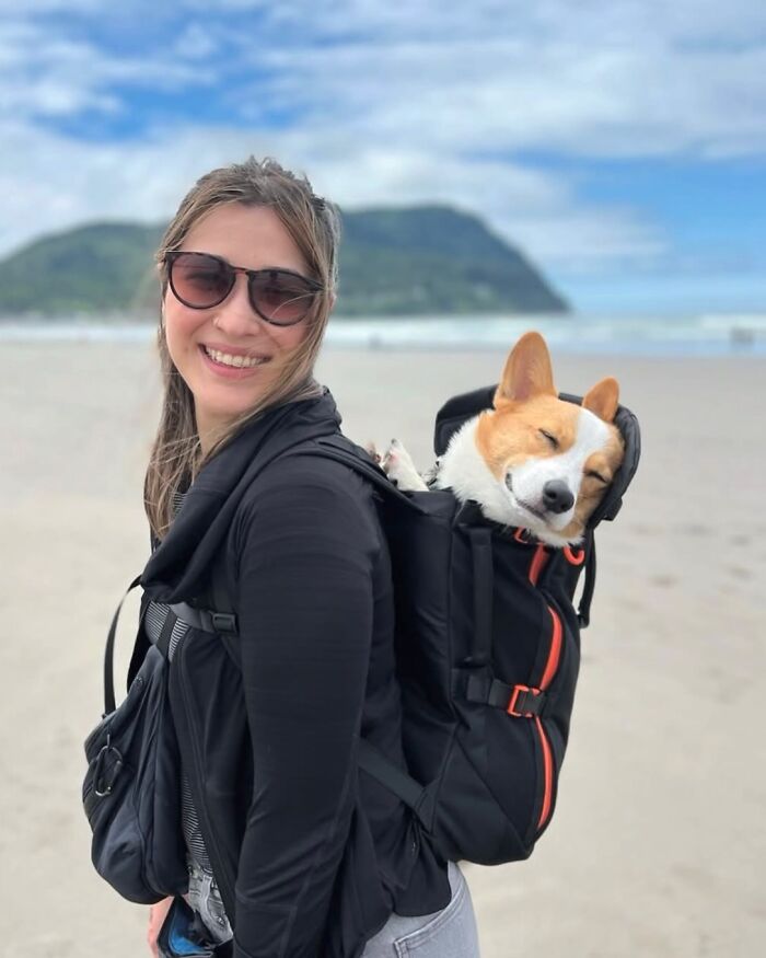 Wait, Dogs in Backpacks Are a Thing? Yep, And They’re Adorbs!