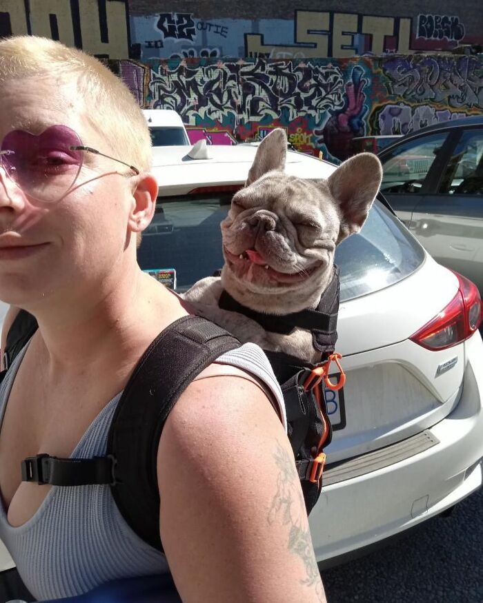 Wait, Dogs in Backpacks Are a Thing? Yep, And They’re Adorbs!