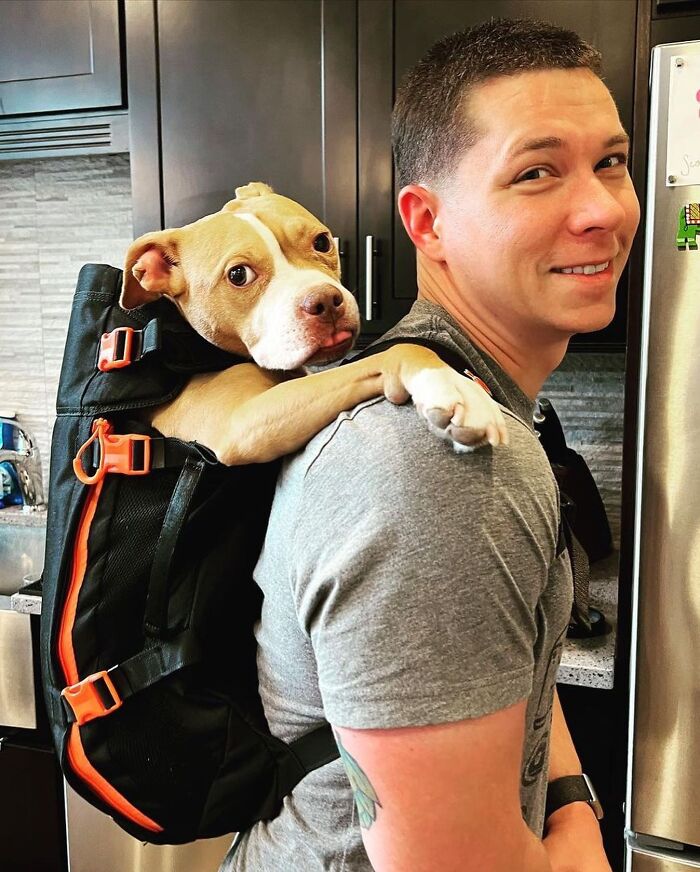 Wait, Dogs in Backpacks Are a Thing? Yep, And They’re Adorbs!