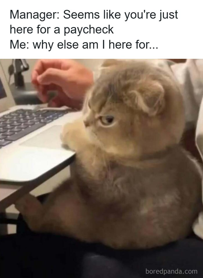 Let's Laugh Our Heads Off: 110 Memes That Totally Get Life