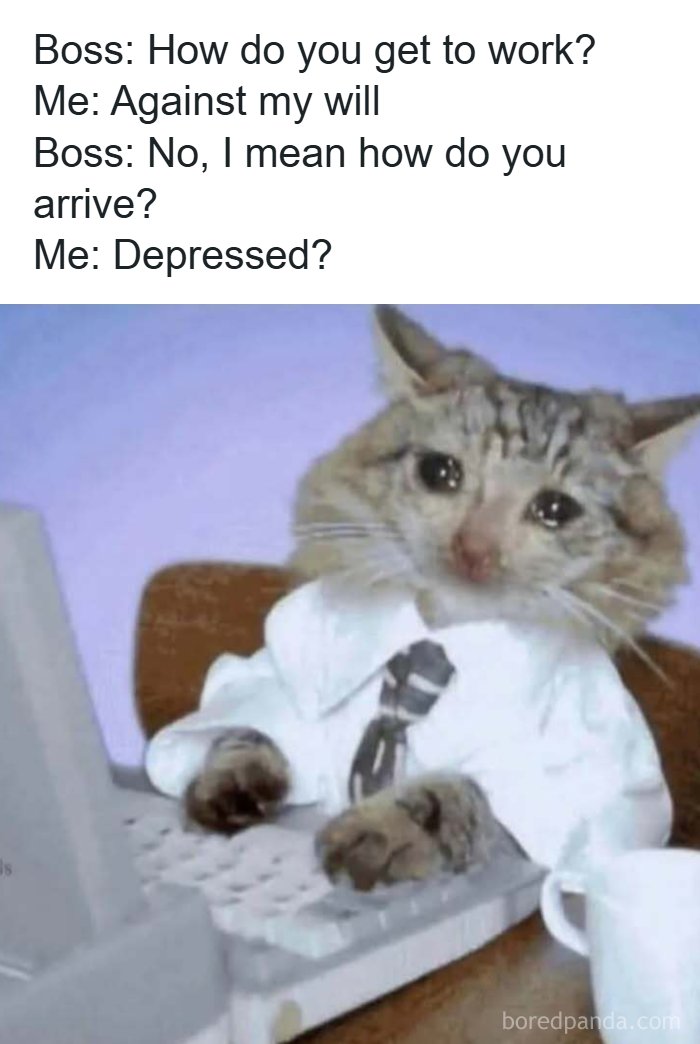 Let's Laugh Our Heads Off: 110 Memes That Totally Get Life