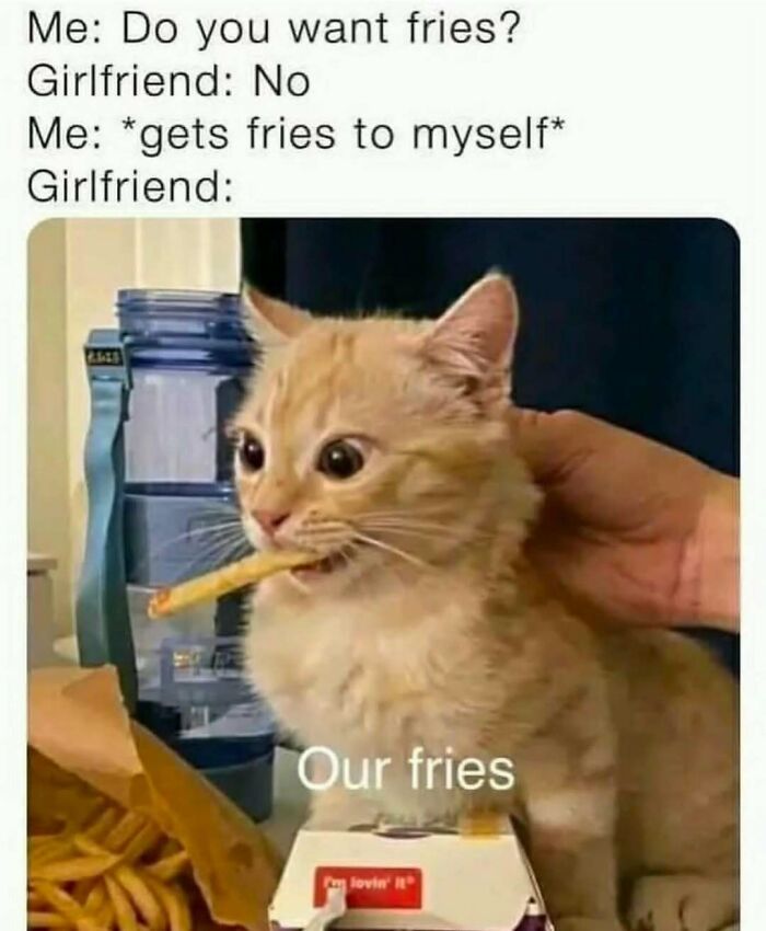 Let's Laugh Our Heads Off: 110 Memes That Totally Get Life