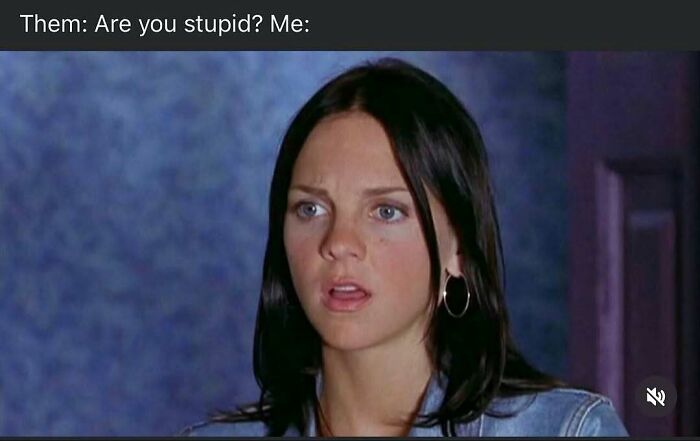 Let's Laugh Our Heads Off: 110 Memes That Totally Get Life