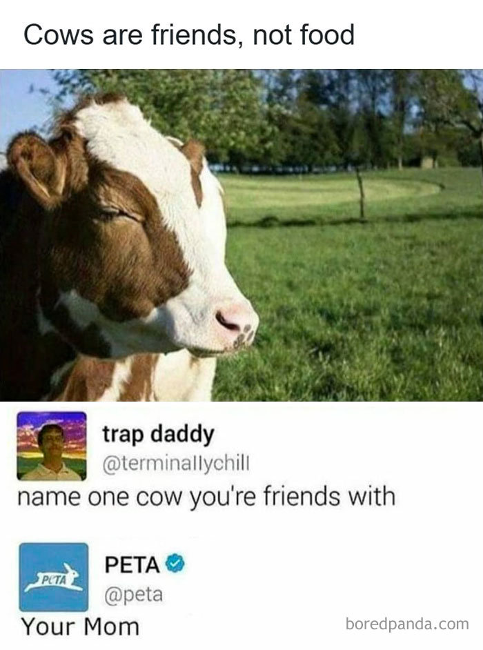 50 Dark Humor Memes That Are Shockingly Funny (And You Know It)