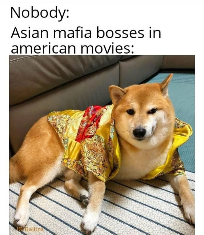 50 Dark Humor Memes That Are Shockingly Funny (And You Know It)