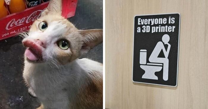 Wait, These Pics Are Hilariously Weird! 50 Random Snaps That Make Zero Sense (In The Best Way)