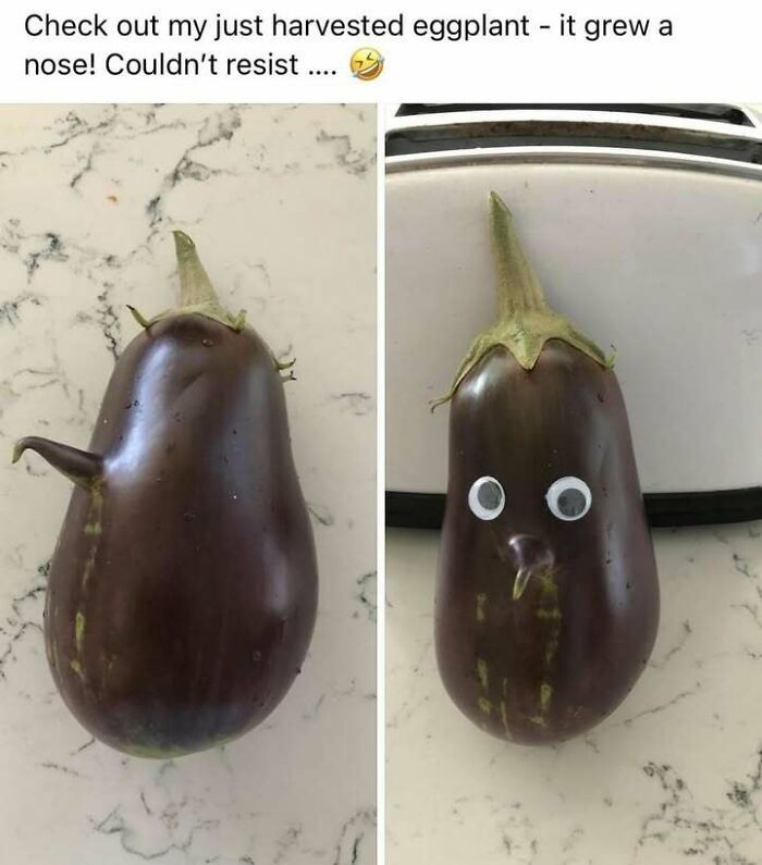 Meet Mr. Eggplant