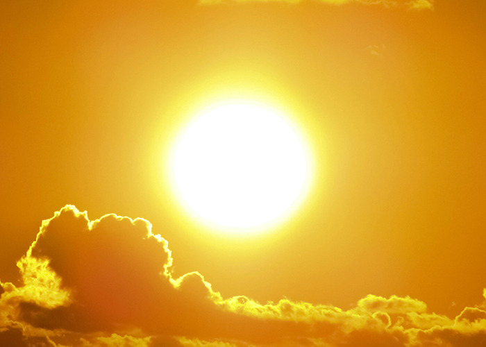 The Wildest 911 Calls That’ll Make You Go Wait, What?!