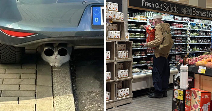 Wait, They Actually Ranked These 55 Hilarious Photos From 2025?!