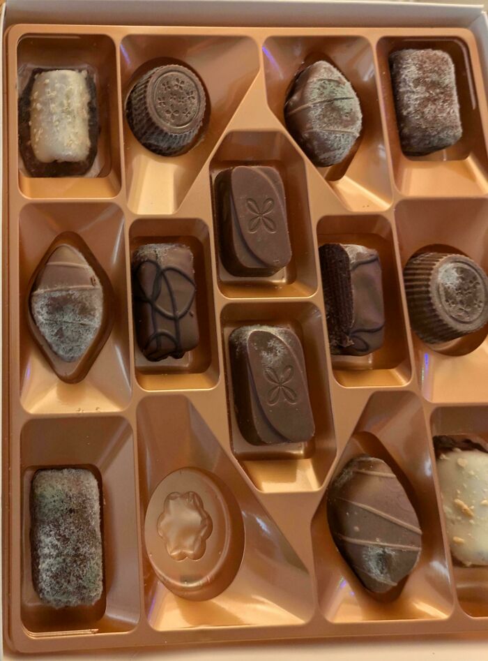 Moldy Chocolates With One Missing? Secret Santa, Really?