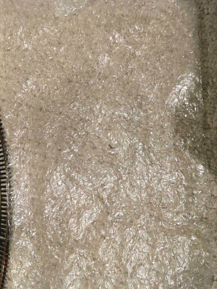 Brought Xbox Games To White Elephant, Got Bubble Wrap Back