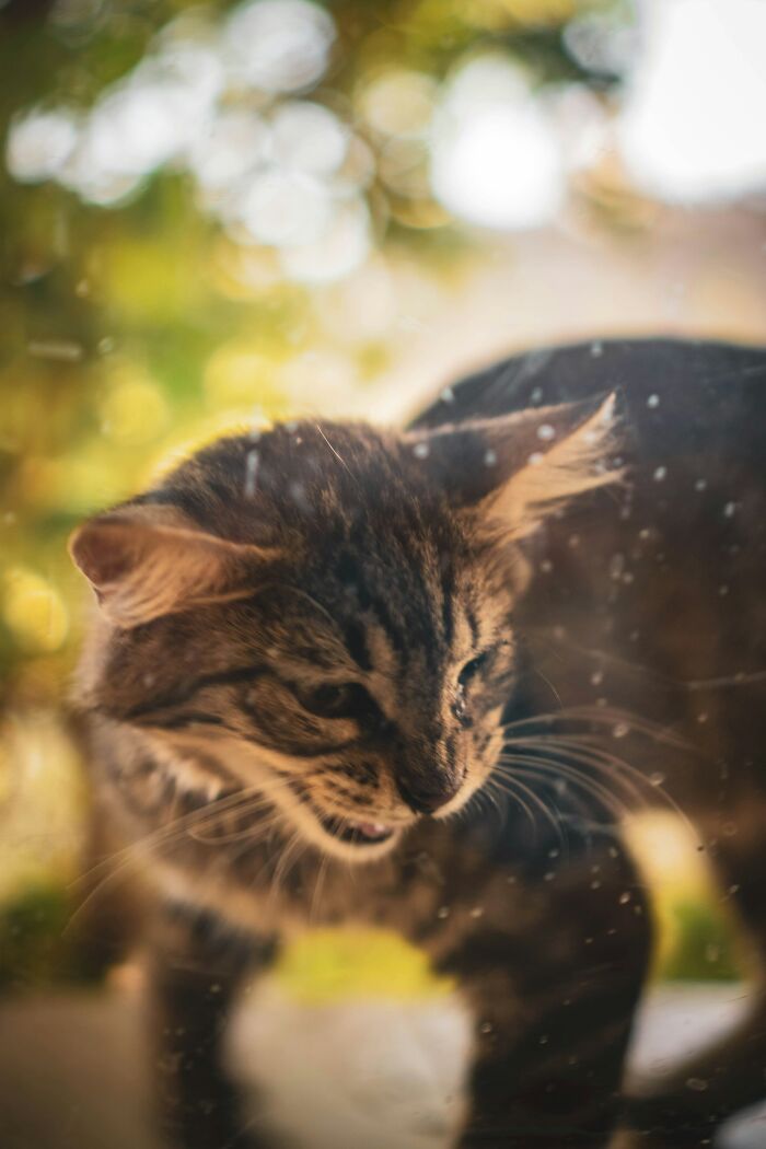 Kids Said WHAT?! 28 Totally Hilarious Toddler Quotes That Will Crack You Up