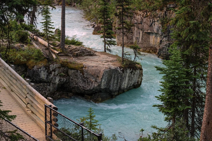 Wait, They Actually Ranked This? The Top Countries for Raising Kids According to UNICEF