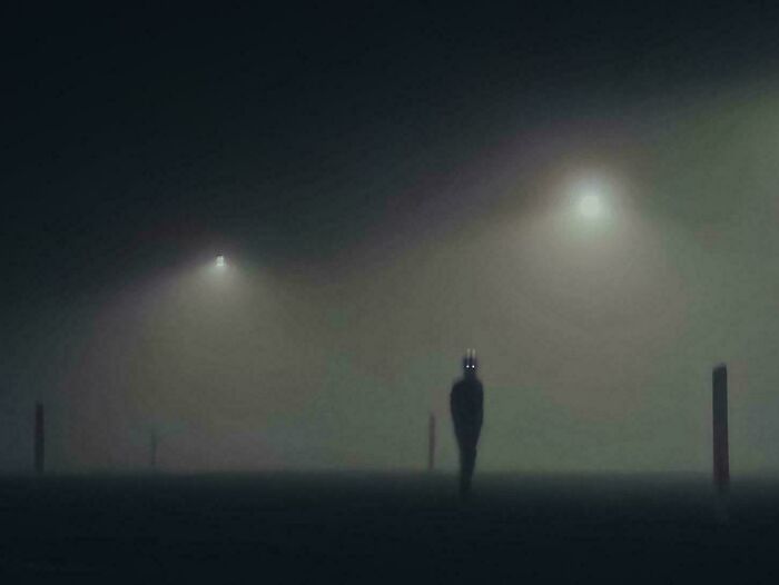 Made the Most of a Foggy Night