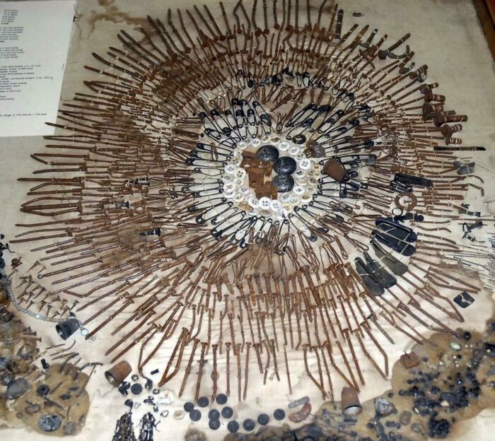 Stomach Contents of Someone Who Ate All the Weird Stuff