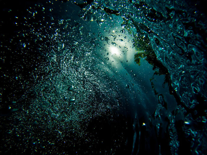 Get This: 31 Mind-Blowing Moments That Are So Weird You’ll Wonder If They’re Real