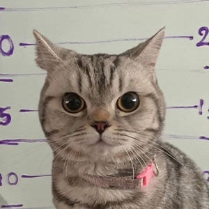 Let's Dive Into These 42 Pics That Totally Caught Our Eye!