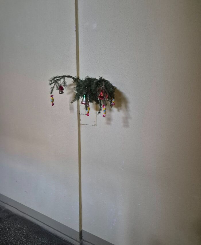 Wait, They Decked Out Their Apartment Halls Like This?!