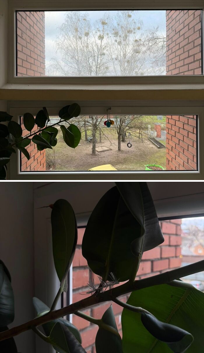 Wait, They Decked Out Their Apartment Halls Like This?!