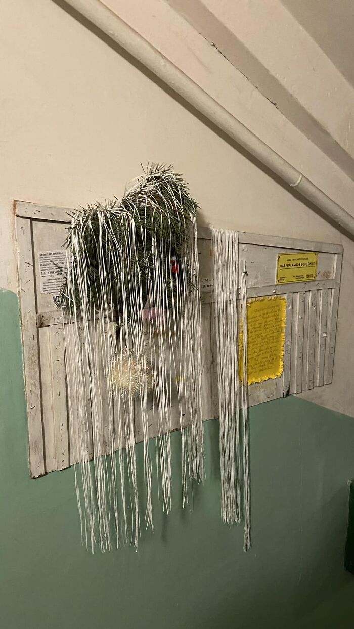 Wait, They Decked Out Their Apartment Halls Like This?!