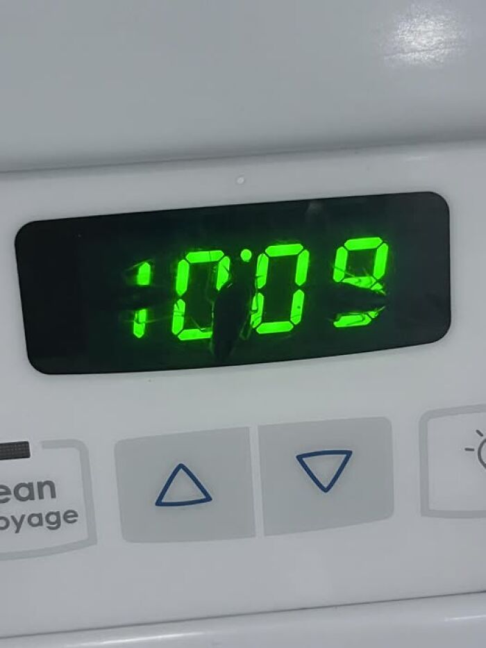 Surprise Roach Roommates Living In The Oven Clock