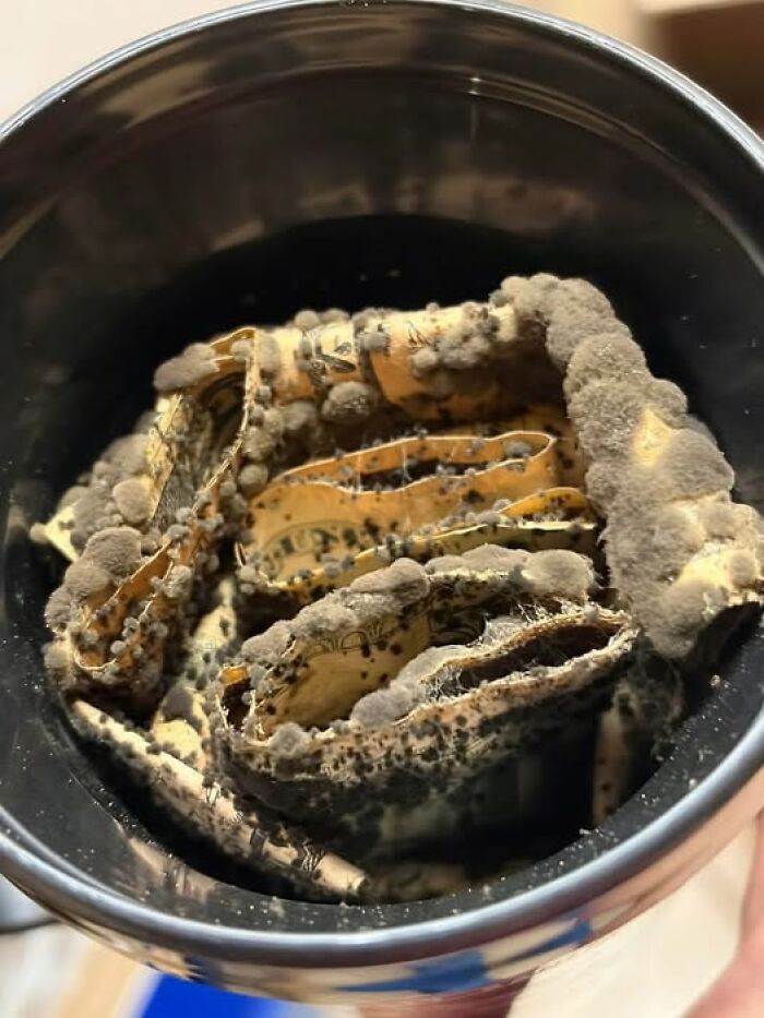 Storing Cash, But Not Quite Like This