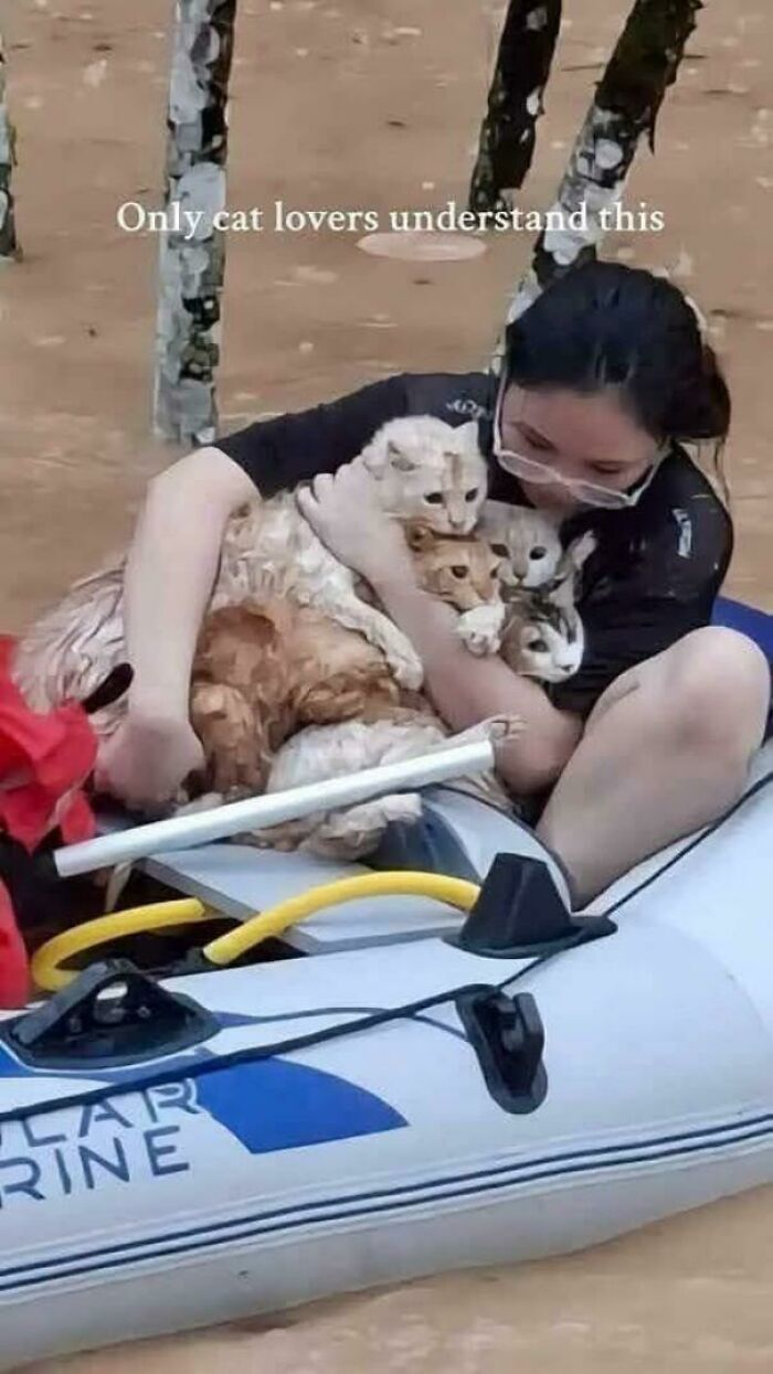 This Heroine Saved All Her Cats During Floods In The Philippines