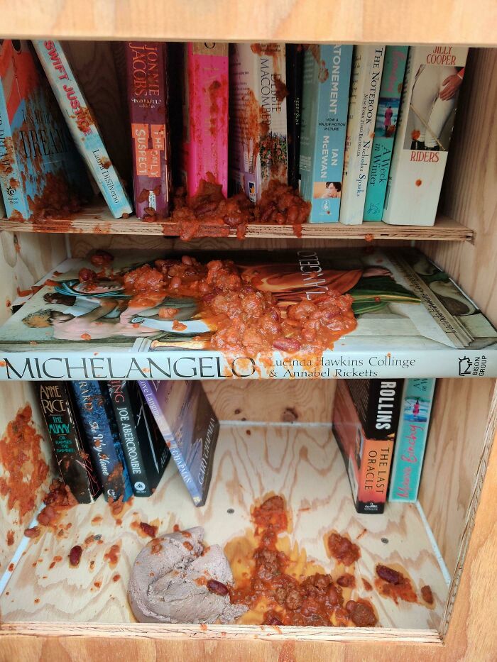 Neighbor Builds Library, Someone Dumps Chili And Cat Food Inside. Seriously?