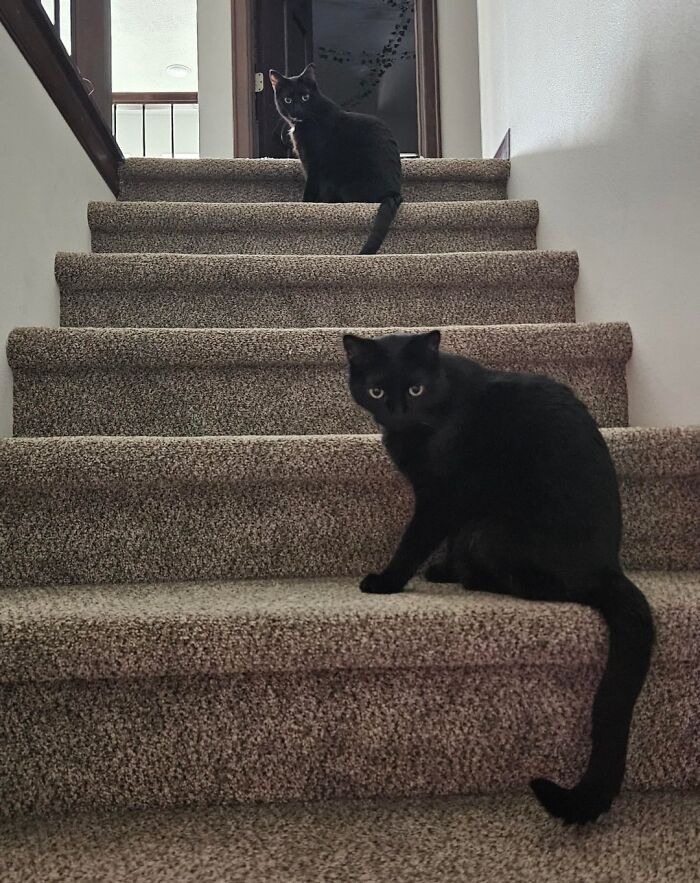 Déjà Vu Moment Spotted