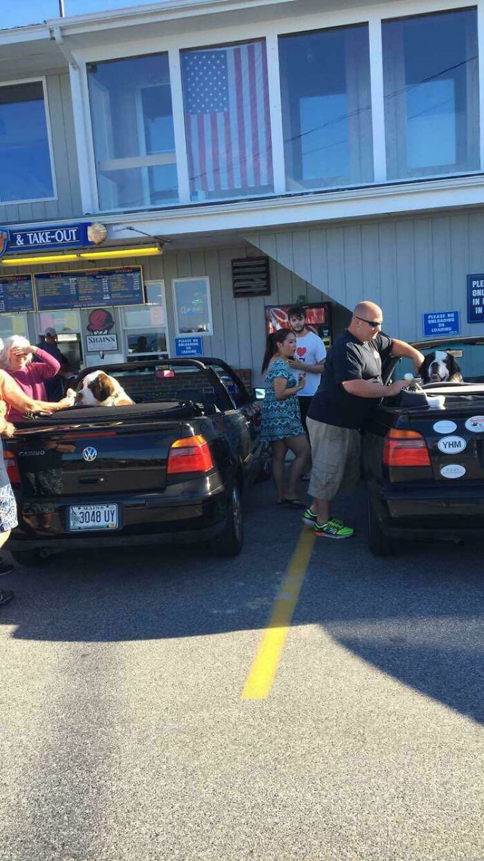 Two Black VW Cabrio Owners Feeding Their Dogs The Exact Same Ice Cream