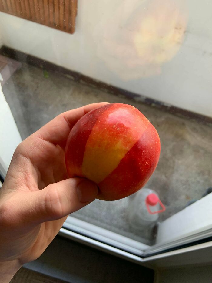 My Apple Has A Texture Bug