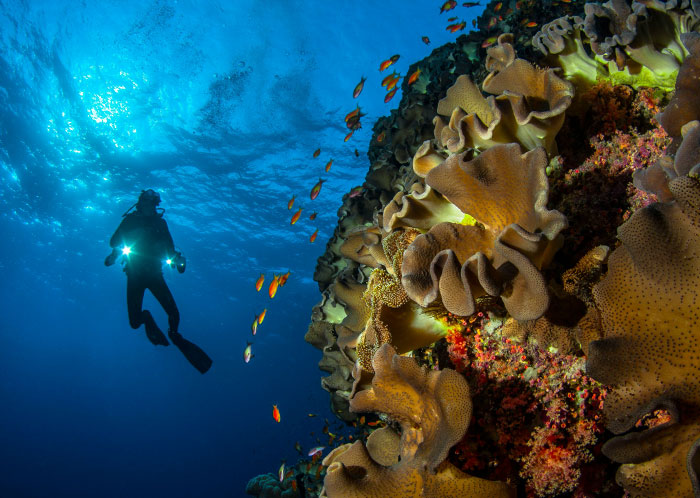 Wait, People Actually Know These Scary Facts and Wish They Could Unsee Them?