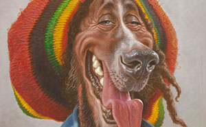 When Celebs Turn Into Dogs and It’s Weirdly Awesome (17 Pics)