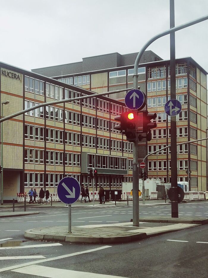 Wait, People And Pets Were THIS Smart?! Check These Wild Brainiac Moments