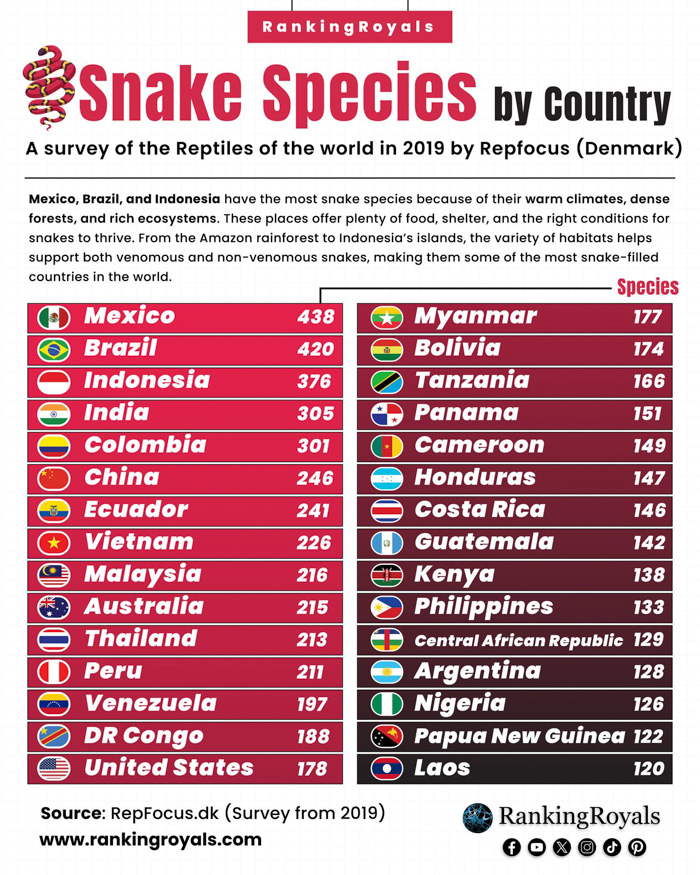 Mexico Has Almost as Many Reptiles as Australia