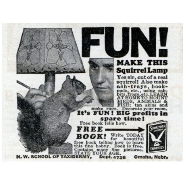 Even The Squirrel Thinks This Is Fun—But The Wife Just Threw It Away