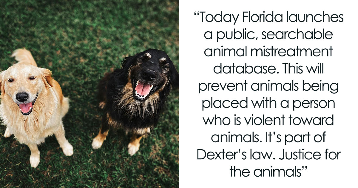 36 Feel-Good American Wins That’ll Make You Smile (Promise!)