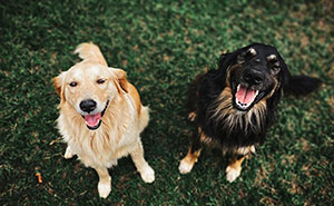 36 Feel-Good American Wins That’ll Make You Smile (Promise!)