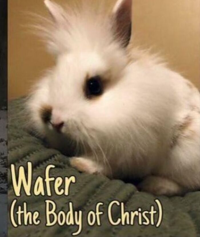 Wafer (Body Of Christ)