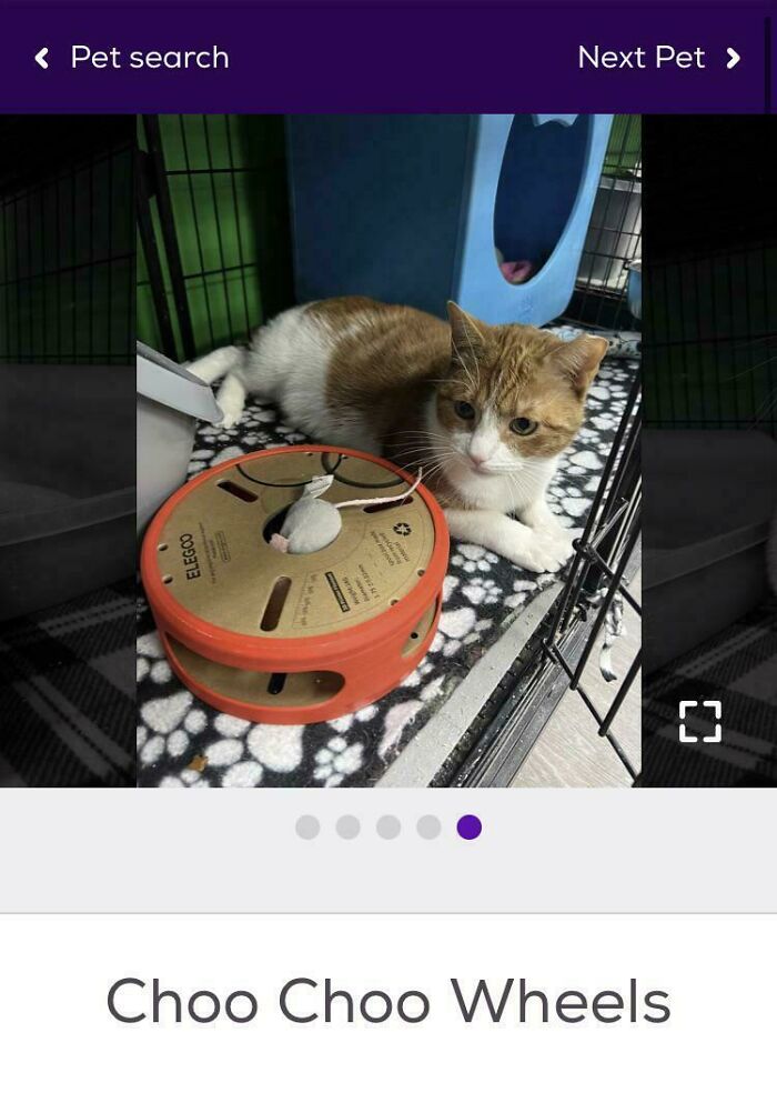 I Guess This Belongs Here